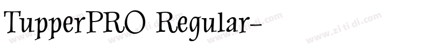 TupperPRO Regular字体转换